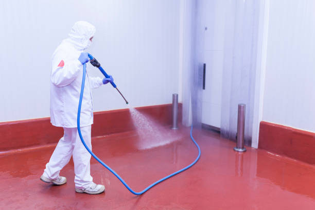 Best Patio and Deck Pressure Washing  in Rye Brook, NY