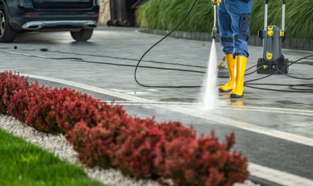 Best Graffiti Removal  in Rye Brook, NY